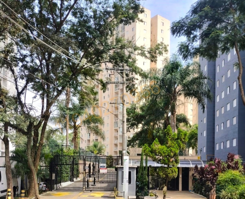 Foto - São Paulo - Jardim Íris