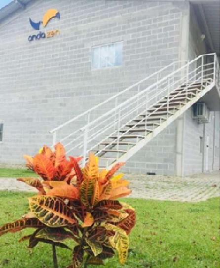 Foto Imóvel