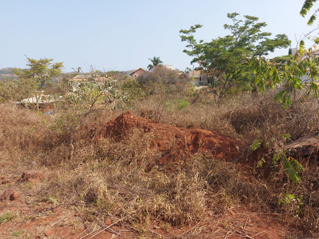 Terreno à venda - Foto 4