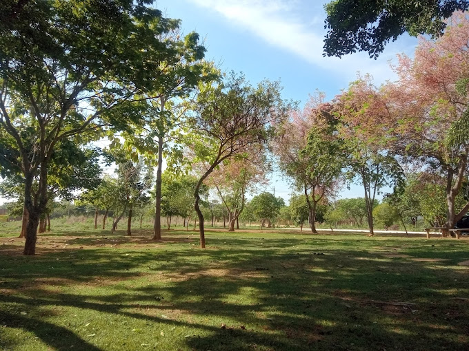 Terreno à venda, 1000m² - Foto 20