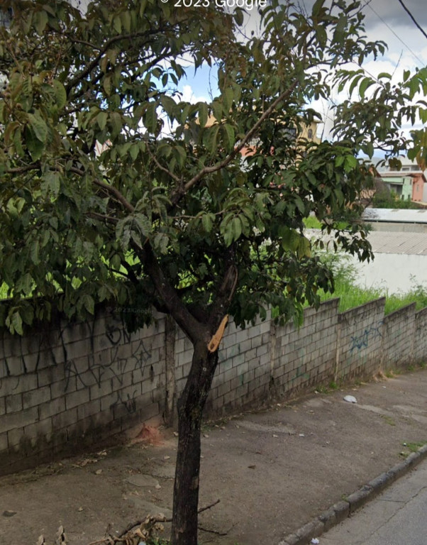 Foto Imóvelp