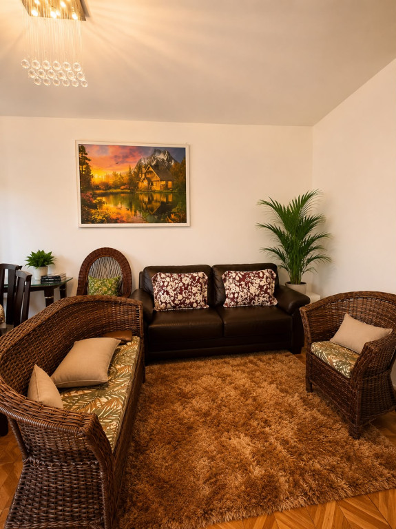 Casa, 2 quartos, 1000 m² - Foto 4