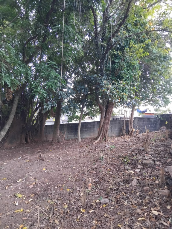 Terreno, 362 m² - Foto 6