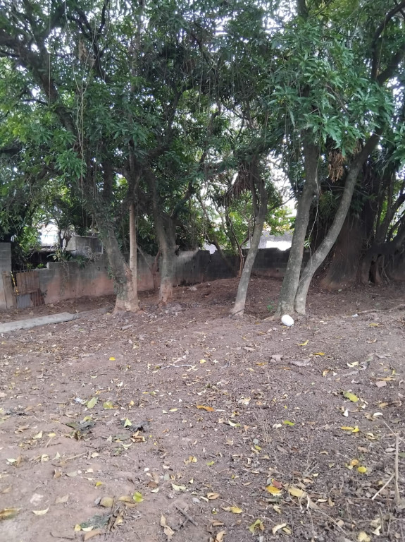 Terreno, 362 m² - Foto 7