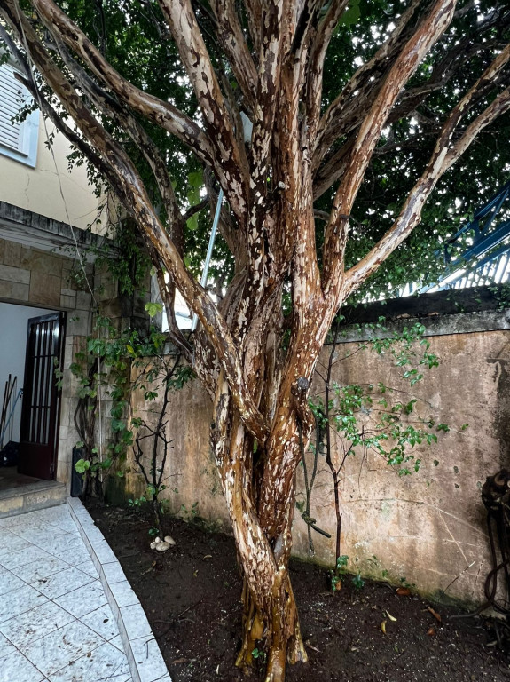 Casa, 3 quartos, 220 m² - Foto 1