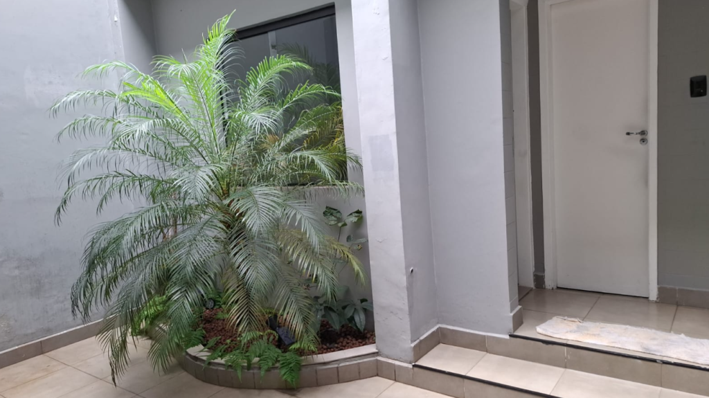 Foto - São Paulo - Jardim Anália Franco