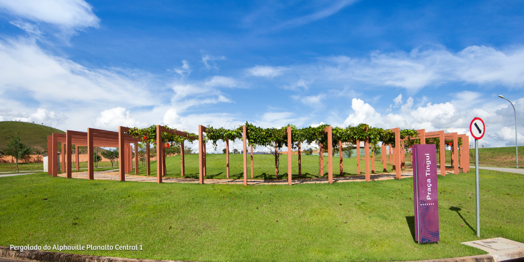 ALPHAVILLE - ALPHAVILLE PLANALTO CENTRAL 2 - Pronto - FAZENDA FLAVIA MARIA