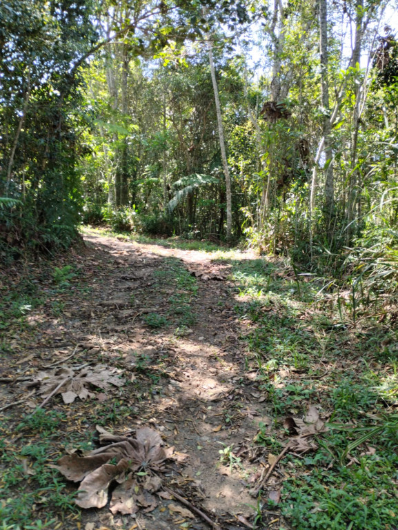 Fazenda-Sítio-Chácara, 4000 m² - Foto 2