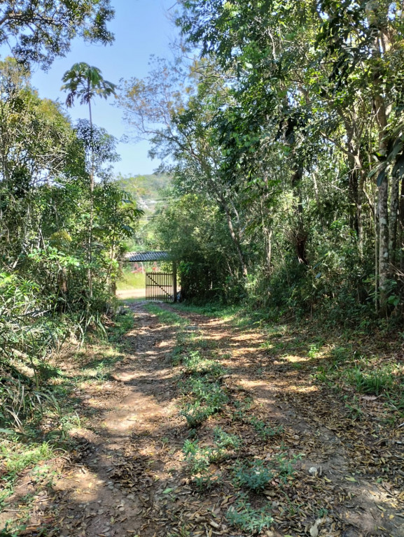 Fazenda à venda com 2 quartos, 200m² - Foto 5