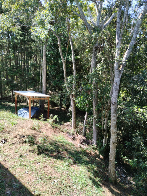 Fazenda à venda com 2 quartos, 200m² - Foto 6