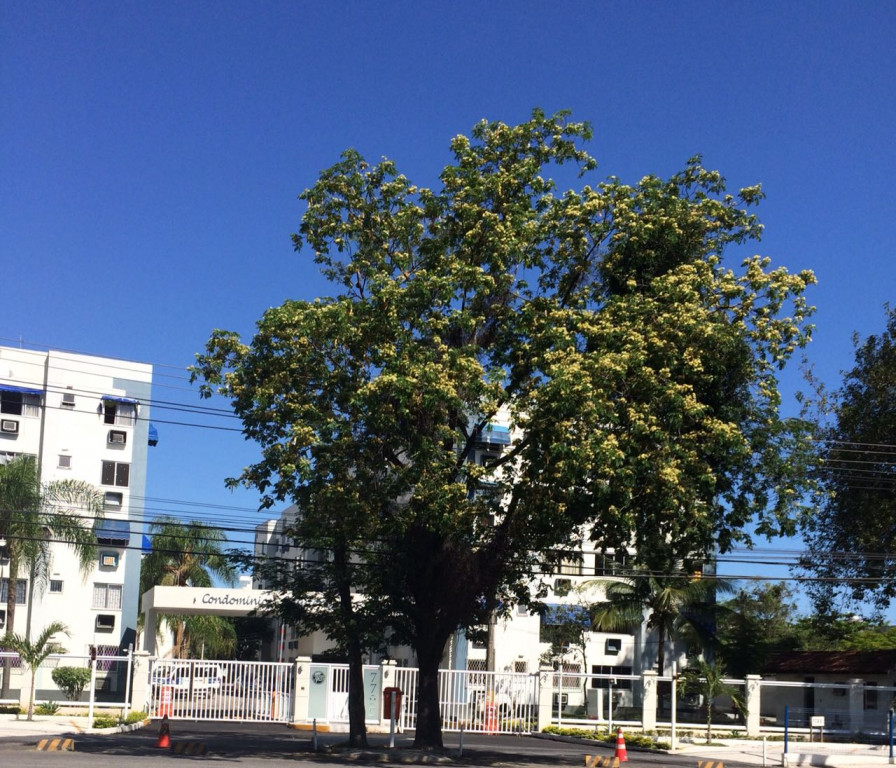 Foto Imóvelp