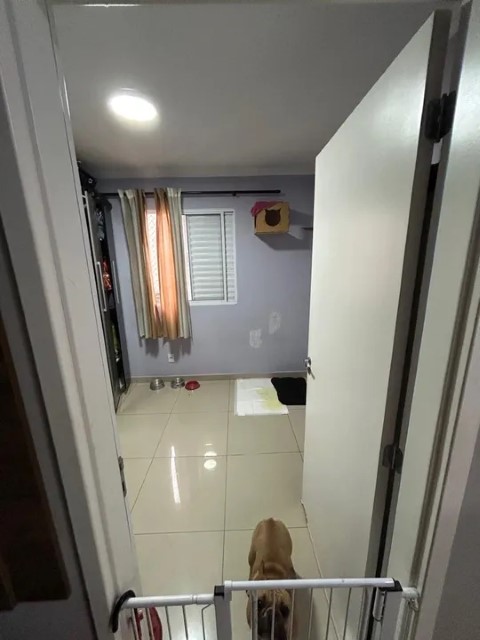 Apartamento à venda com 2 quartos, 48m² - Foto 3