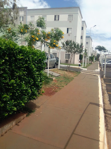 Foto - Ribeirão Preto - Jardim Maria Goretti