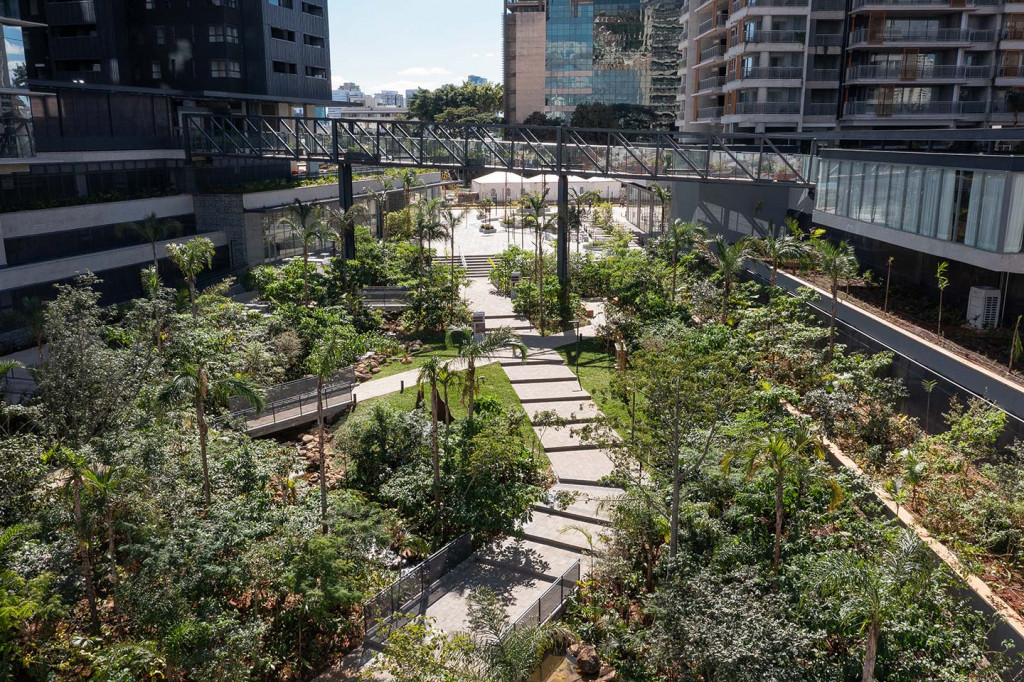 Foto - São Paulo - Jardim das Acácias