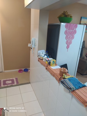 Apartamento à venda com 2 quartos, 58m² - Foto 8