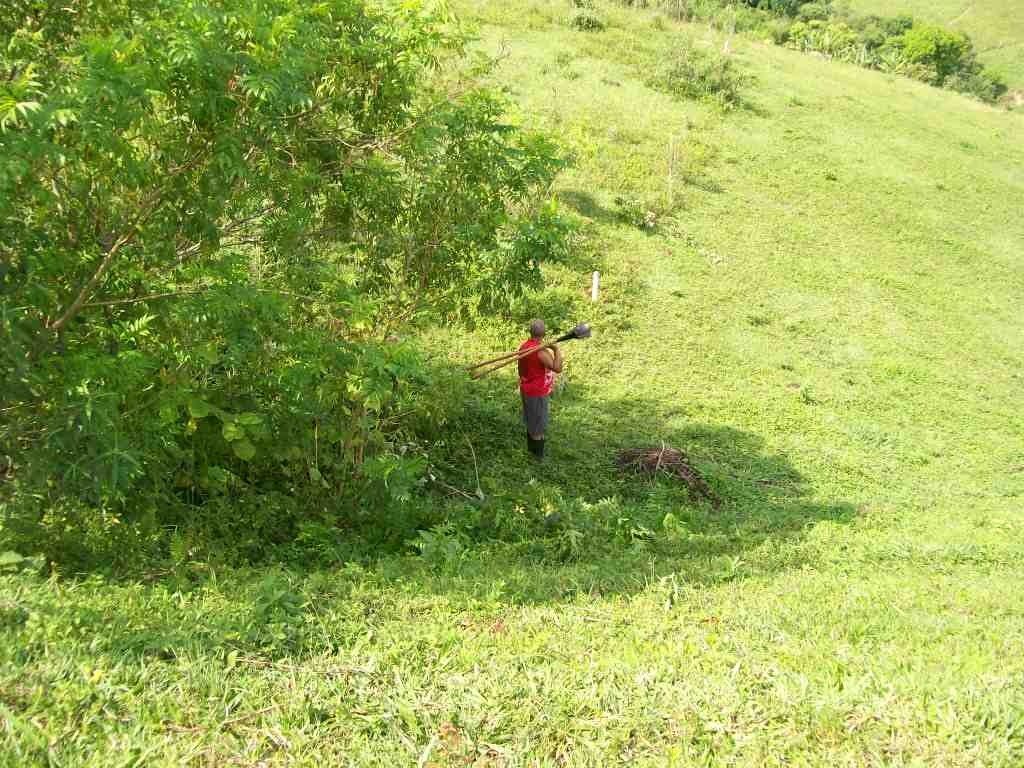 Foto Imóvelp