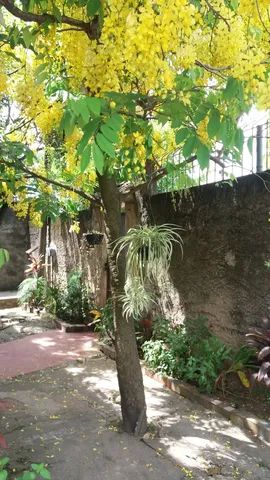 Foto Imóvelp