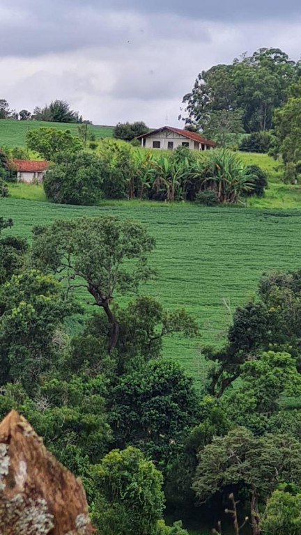 Fazenda à venda com 3 quartos, 18m² - Foto 3