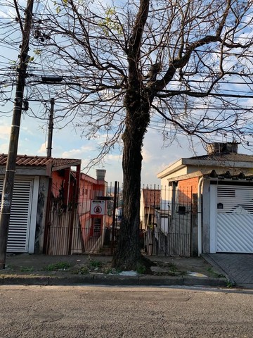 foto - Santo André - Jardim Utinga