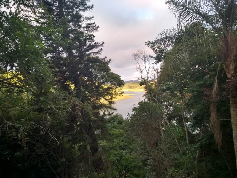 Foto - Paraibuna - Romanas