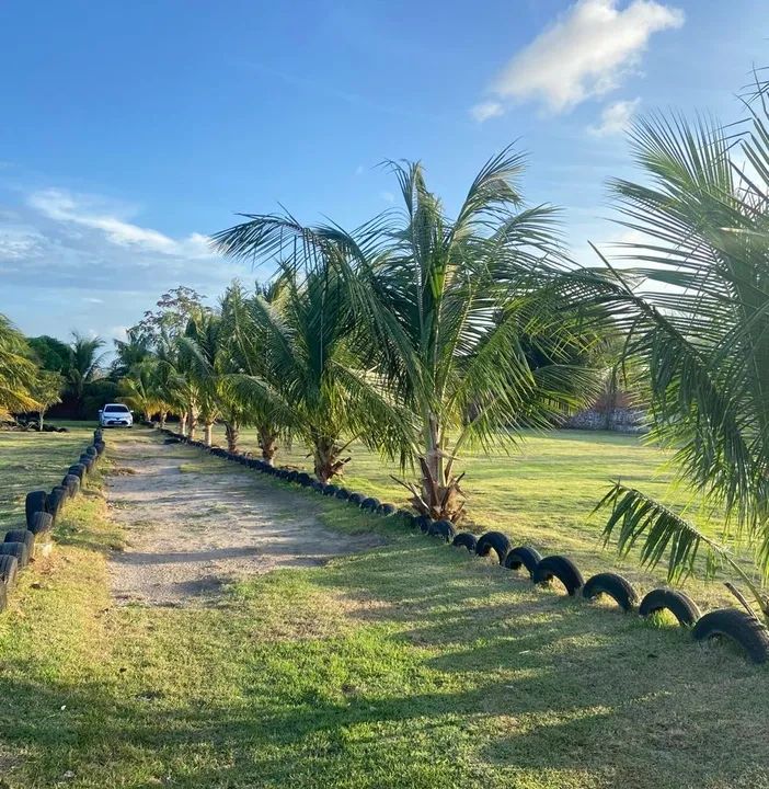 foto - São José de Ribamar - 