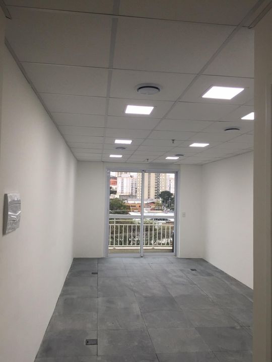 Foto - São Paulo - Limão