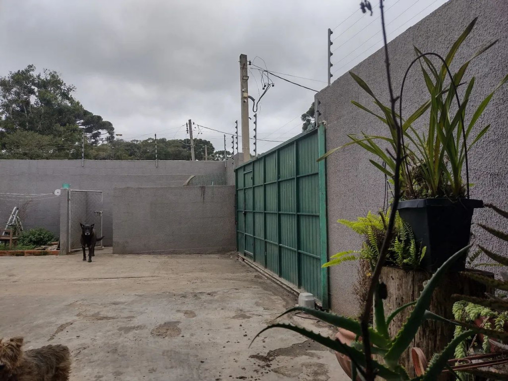 Foto - Colombo - São Dimas