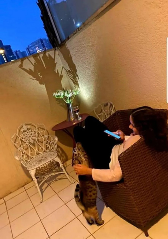 Foto Imóvelp