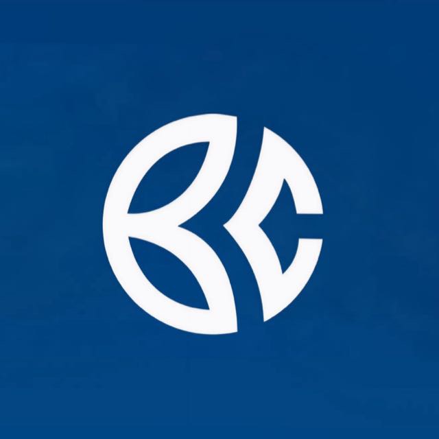 Logo Business Company Imobiliária