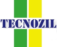 Logo Paulo Nunes